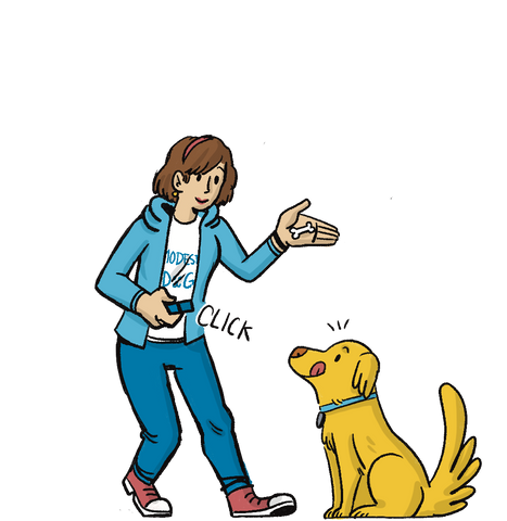 Dog Training California Dog Trainer LA Los Angeles Puppy Boarding