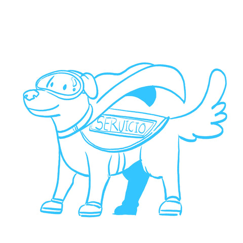 Certify Your Puppy as a Service Dog in Denver – Fast, Legal & At Home | Modest Dog
