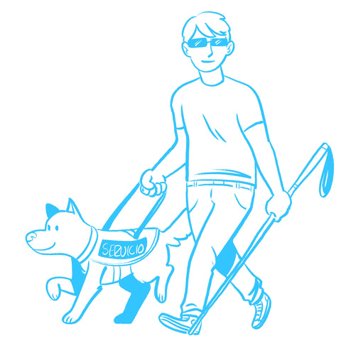 Certify Your Puppy as a Service Dog in Minneapolis – Fast, Legal & At Home | Modest Dog