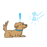 Certify Your Puppy as a Service Dog in Las Vegas – Fast, Legal & At Home | Modest Dog
