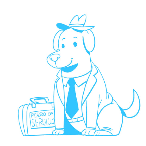 Certify Your Puppy as a Service Dog in Chicago – Fast, Legal & At Home | Modest Dog