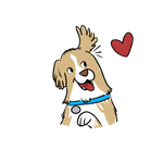 Certify Your Puppy as a Service Dog in Miami – Fast, Legal & At Home | Modest Dog