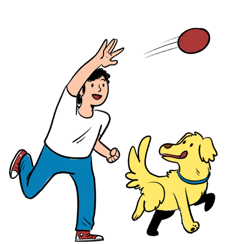 Certify Your Puppy as a Service Dog in Boston – Fast, Legal & At Home | Modest Dog