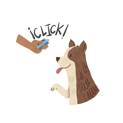 Dog Training Miami Dog Trainer Florida Puppy Boarding